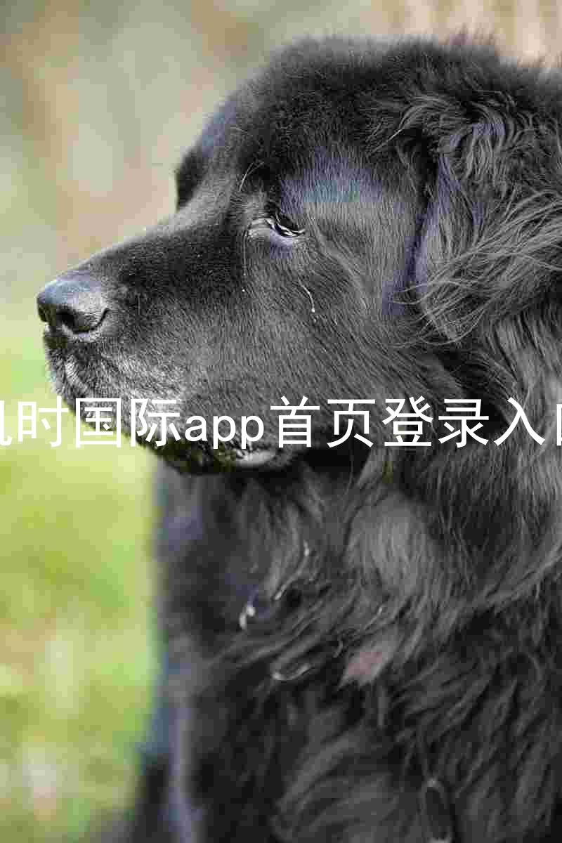 凯时国际app首页登录入口